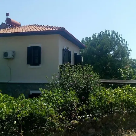 Διαμέρισμα Safir *